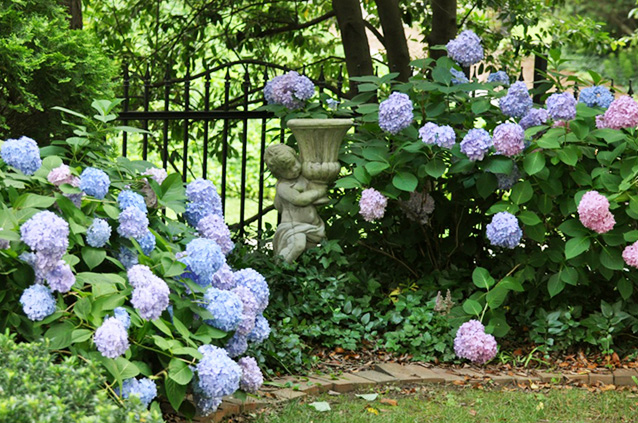 Slideshow Image 2