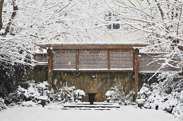 Slideshow Image 8